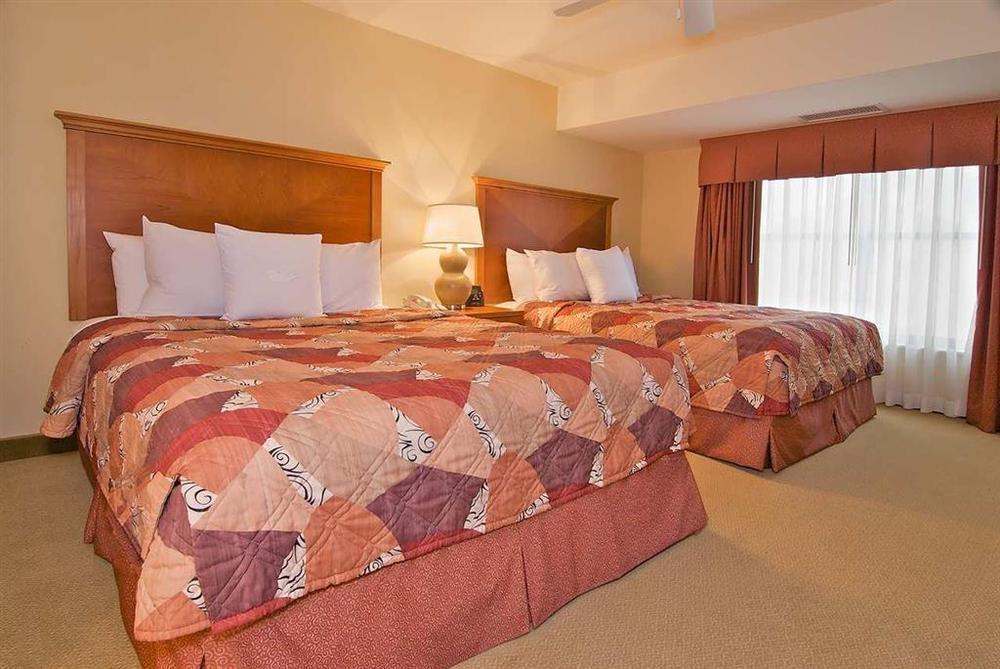 Homewood Suites By Hilton Newark-Wilmington South Area Chambre photo